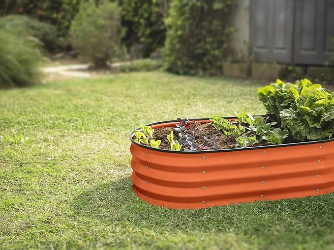 Plant & Plot Galvanized Raised Garden Beds Outdoor // 4×2×1 ft (2-Pack) Planter Raised Beds for Gardening, Vegetables, Flowers (Orange) // Large Metal Garden Box