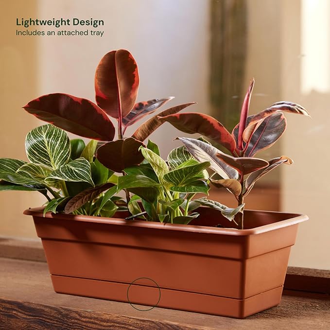 Bloem Dura Cotta 18" Terra Cotta Resin Rectangle Window Box Planter with Saucer Tray for Indoor and Outdoor Gardening