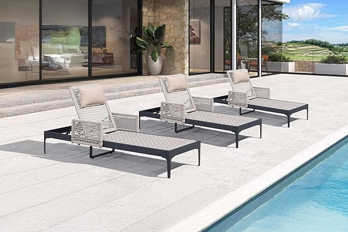 PURPLE LEAF 3 Pieces Outdoor Chaise Lounge Set Rattan Wicker Lounger with Arms Poolside Furniture Adjustable Recliners Patio Lounge Chairs for Beach Yard Garden Balcony, Dark Grey