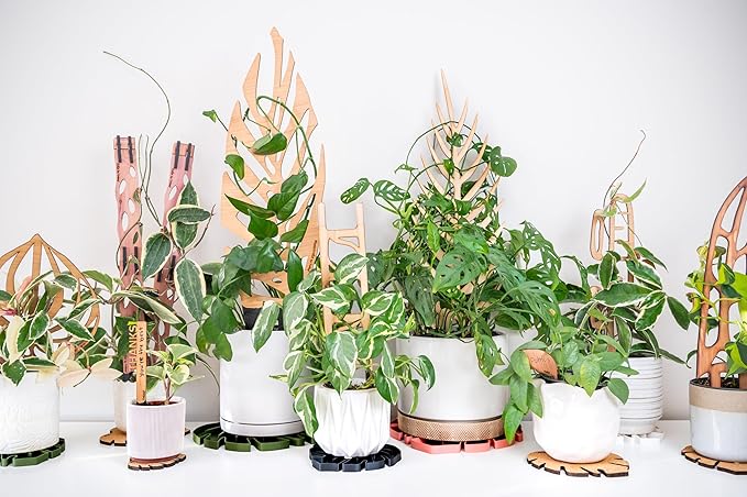 Treleaf Zella Grande Extension Kit - Wooden Extendable Plant Trellis for Indoor Climbing Houseplants - Modular Plant Support