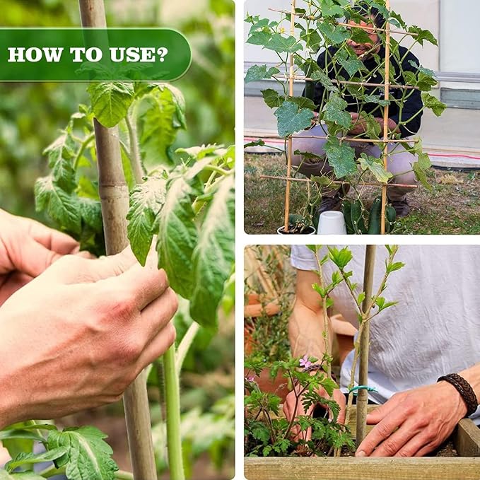 30pcs 3/10" D Thicker Heavy Duty Bamboo Stakes, 2FT Plant Stakes, Natural Garden Stakes for Tomato, Bean, Flowers,Trees Potted and Climbing Plant Support