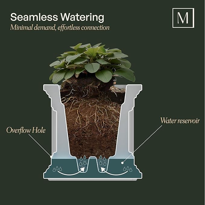 Mayne Fairfield 2-Foot Window Box – Self-Watering, Weather-Resistant Planter for Flowers – Durable Design for Outdoor Use, Perfect for Windows