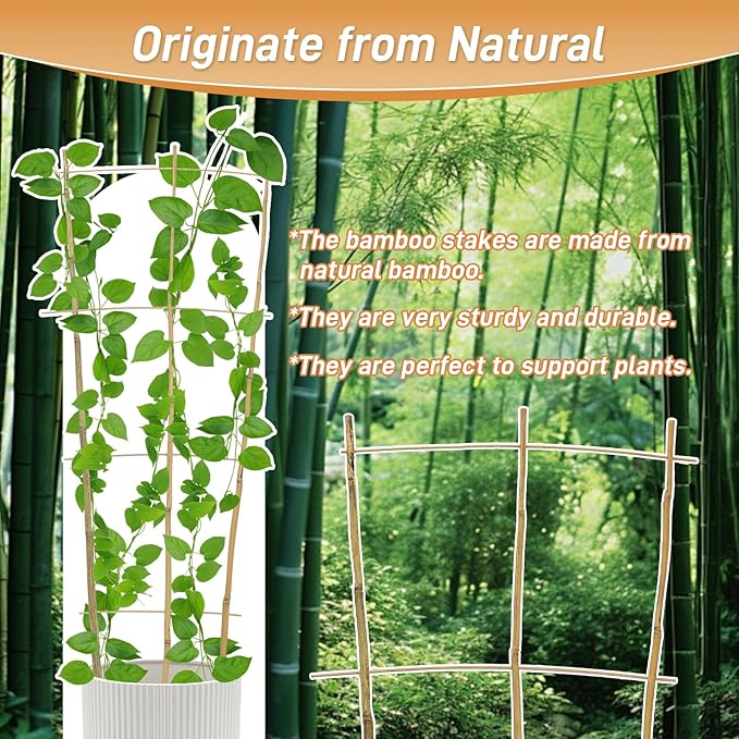 10 Pack 4ft Bamboo Trellis for Climbing Plants - Fan-Shaped Support Trellis for Potted Plant Decor in Door