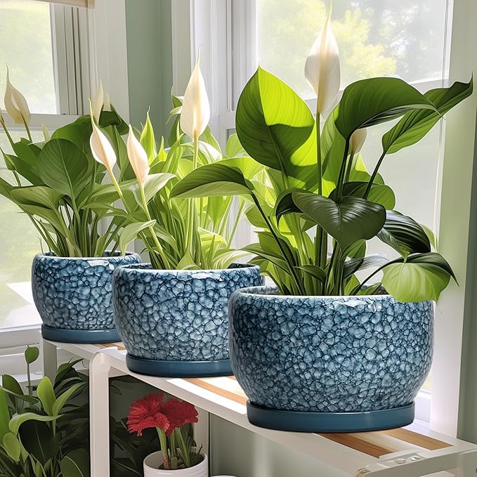 SQOWL Ceramic Planter - 10 Inch Plant Pot Indoor with Drainage Hole and Saucer, Decorative Flower Pots Outdoor, Ceramic Plant Pots, Large Round Planter, Home Patio Decor, House Warming Gifts, Blue