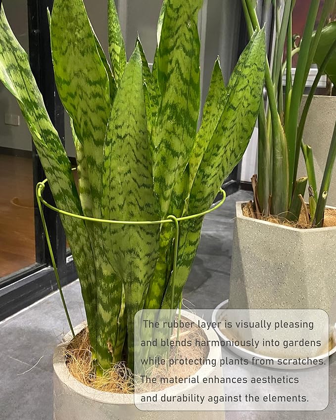 5 Pack Plant Support Stakes, Adjustable Plant Ring Cages with Green Rubber Wrapping, Ideal for Orchids, Indoor and Outdoor Potted Plants, 8" Wide x 11" High