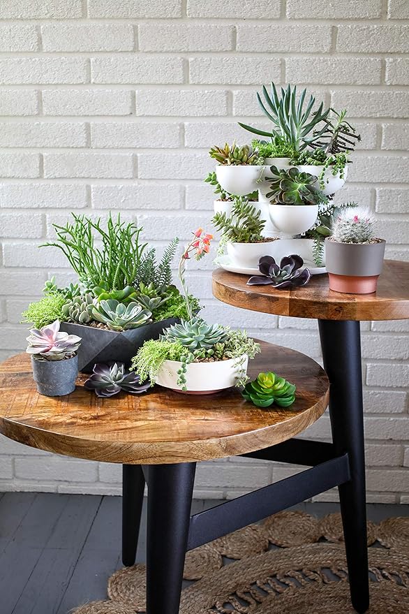 The HC Companies 8 Inch Round Plastic Succulent Capri Bowl Decorative Indoor Flower Succulent Planter Pot with Drain Plug Hole, Artisan Taupe with Copper Bottom Color (2 Pack)