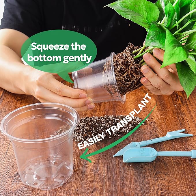 60 Packs 3.5 Inch Reinforced Clear Nursery Pots with Drainage Holes, Transparent Plastic Plant Pot Seedling Planter for Vegetable Propagation, Root Cutting, Seed Starting