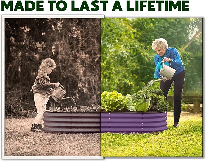 Plant & Plot Galvanized Raised Garden Beds Outdoor // 4×2×1 ft Planter Raised Beds for Gardening, Vegetables, Flowers (Purple) // Large Metal Garden Box