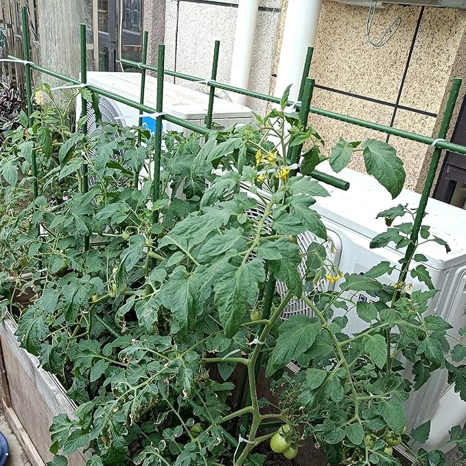 6Ft 72inch Garden Stakes Sturdy Plant Sticks Support Tomato Stakes for Vegetable,Pack of 20