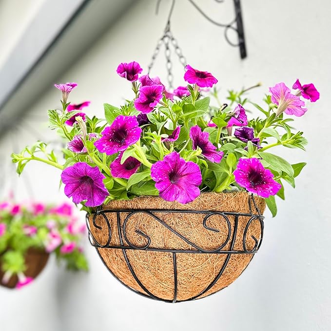 LaLaGreen Hanging Planter For Outdoor (20 Inch, 4 Pack) Extra Large Black Metal Wire Hanging Plant Planter with Coco Liner Round Garden Balcony Country Decor Flower Pot Holder Hanger Deck Porch Modern