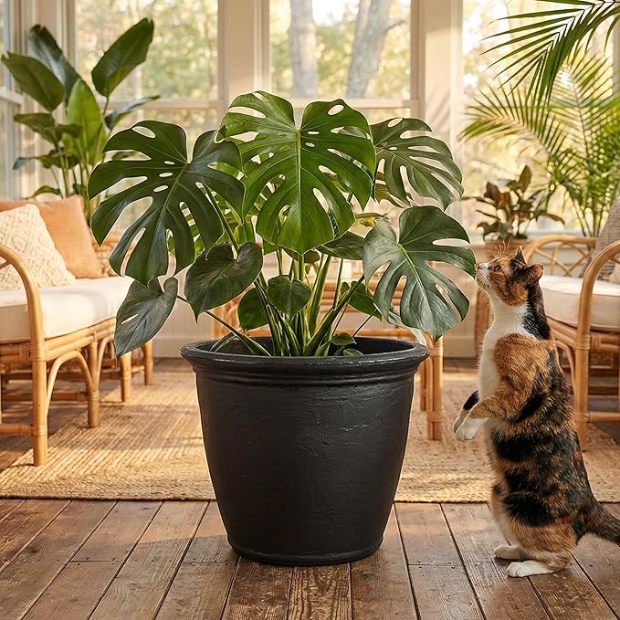 Sunnydaze 24-Inch Anjelica Large Plastic Pot for Plants - Outdoor Double-Walled Large Plastic Planter with Drillable Drainage Holes - Matte Black - 4pk